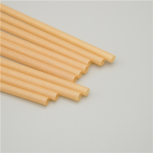 Disposable Straw2